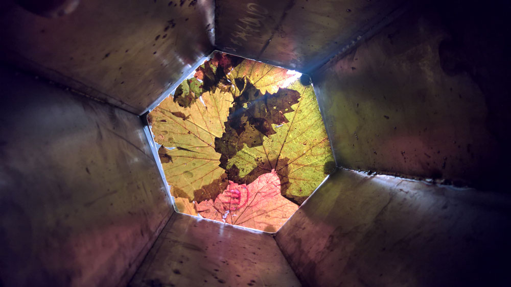 Image of a beautifully illuminated wine cellar, showcasing Winest's innovative wine cellar designs that marry tradition and technology.